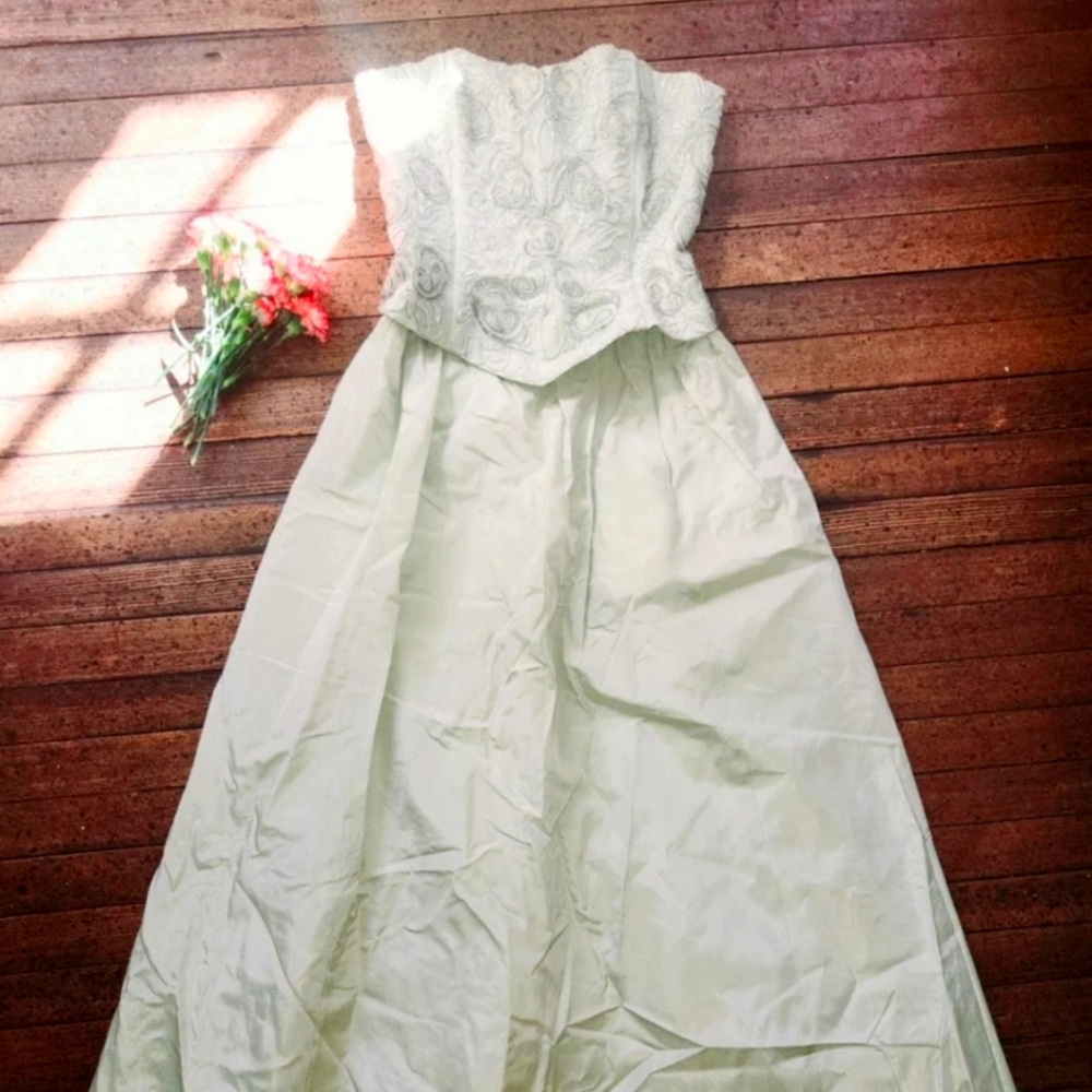 Jessica Mcclintock For Cache Gown
